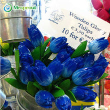 24Colors Perfume Tulip Seed High-grade Flower Bonsai Seeds, Most Beautiful and Colorful Tulip Plants Perennial Home Garden 10PCS