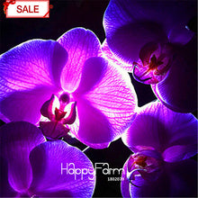 Hot Sale!9 Varieties Phalaenopsis Seeds Perennial Flowering Plants Potted Charming orchid Flowers Seed,50 pcs/bag,#44LI74