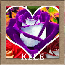Big Sale!White Red Edge Rose Seeds Garden Seeds Plants Potted Rose Rare Flower Seeds Balcony Indoor 100 PCS/Lot,#S1D7BC