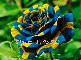 2016 25 Kinds Rose 100pcs/bag of one kind of rose seeds DIY bonsai pot Home Garden Decoration Flower seeds