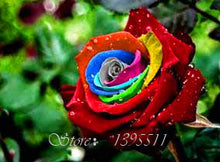 2016 25 Kinds Rose 100pcs/bag of one kind of rose seeds DIY bonsai pot Home Garden Decoration Flower seeds