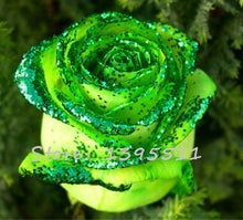 2016 25 Kinds Rose 100pcs/bag of one kind of rose seeds DIY bonsai pot Home Garden Decoration Flower seeds