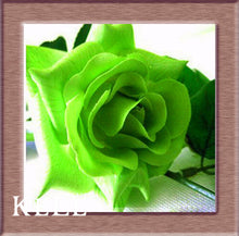 Loss Promotion!Flower pots planters ,20 Kinds Of 50 Seeds, Rainbow rose seeds Beautiful rose seed Bonsai plants Seeds,#S69N7C