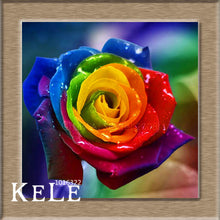 Loss Promotion!Flower pots planters ,20 Kinds Of 50 Seeds, Rainbow rose seeds Beautiful rose seed Bonsai plants Seeds,#S69N7C