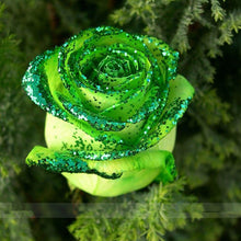 200pcs Rose seeds, Rare exotic seeds Chinese Rose Flower Seeds for home garden plants ,24 colors