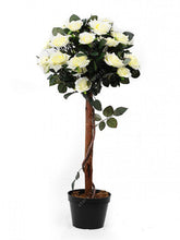 100pcs/bag rose tree,rose seeds,bonsai tree flower seeds,rose tree plant Balcony & Yard potted for home garden