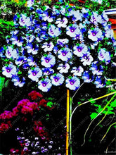 100pcs/bag rose tree,rose seeds,bonsai tree flower seeds,rose tree plant Balcony & Yard potted for home garden