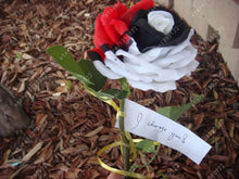 100pcs/bag rose seeds Double Delight Hybrid Tea Rose bonsai flower seeds beautiful perennial rose petals for home garden plant