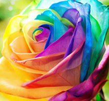 Flower pots planters , 20 Kinds Of 100 Seeds, Rainbow rose seeds Beautiful rose seed Bonsai plants Seeds for home & garden