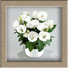 Eustoma Seeds Perennial Flowering Plants  Potted Flowers Seeds Lisianthus  100 seeds free ship