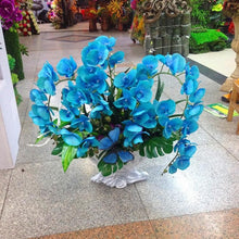 Phalaenopsis suite living room interior decoration  flowers potted 100 seeds