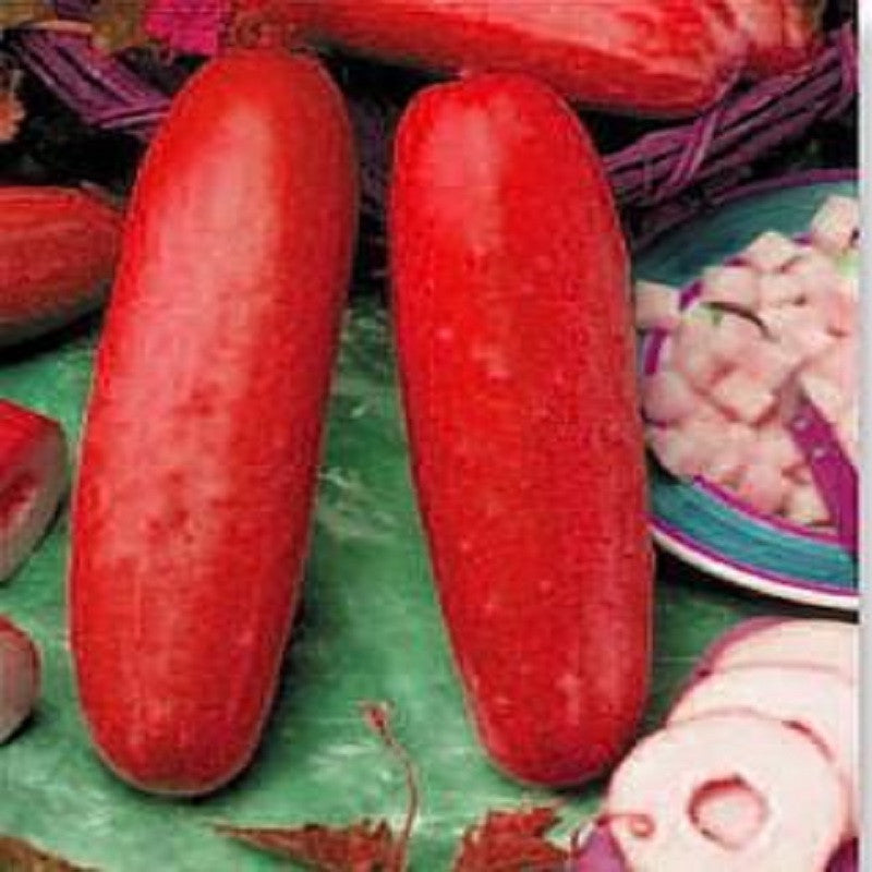 free ship  red cucumber seeds Fruit Vegetables Seeds  flower pots planters 20 seeds